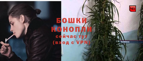шишки Переславль-Залесский