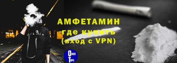 молекула духа Пестово