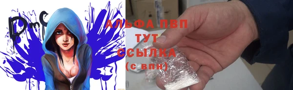 молекула духа Пестово