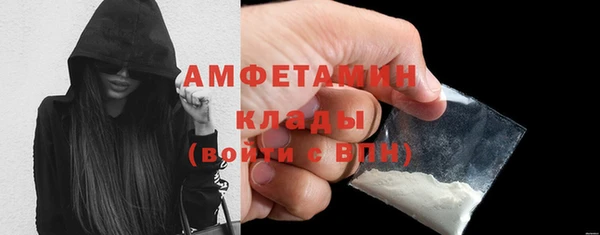 молекула духа Пестово