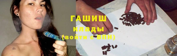 шишки Переславль-Залесский