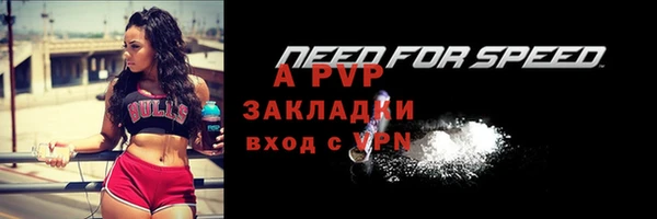 шишки Переславль-Залесский