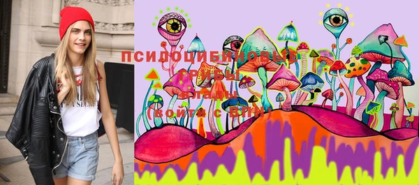 молекула духа Пестово