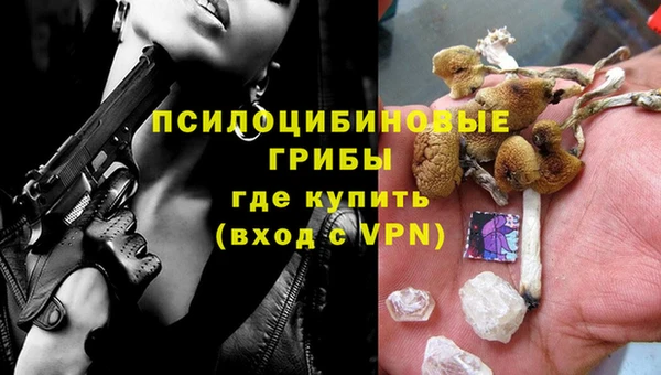 apvp Покровск