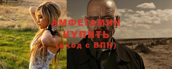 молекула духа Пестово